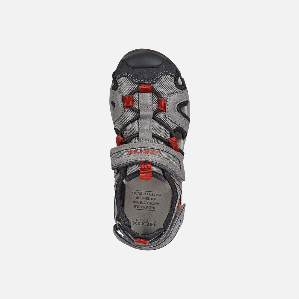 Sandalias Geox Menino Cinzentas/Vermelhas - Borealis - GKTNA7521